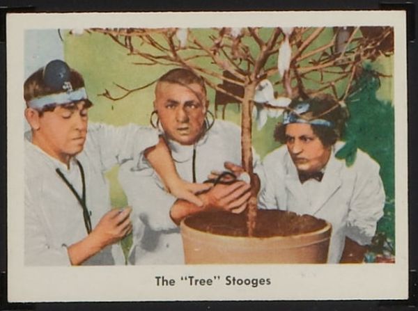 26 The Tree Stooges
